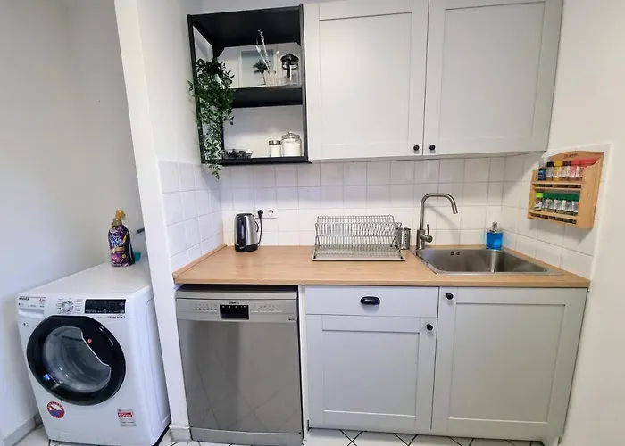 Leipzig Residenz Goethe Apartment Mit 2 Dachterrassen